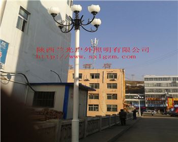 陜西中華燈-陜北道路照明項目