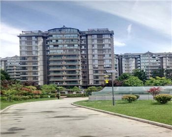 甘肅太陽能殺蟲燈-甘肅省西安市曲江南湖小區路燈項目