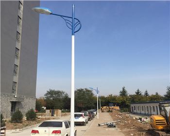 市電路燈-陜西省西安市西北大學長安校區路燈工程 市電路燈-陜西省西安市西北大學長安校區路燈工程