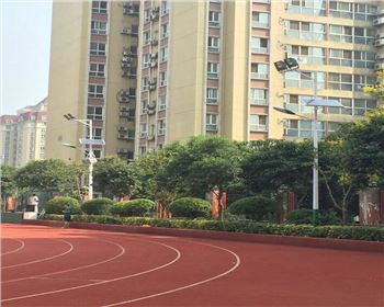 學校路燈改造-陜西省西安高新一中路燈項目 學校路燈改造-陜西省西安高新一中路燈項目