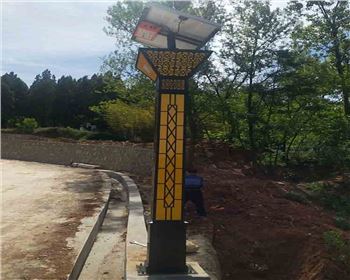 湖北商洛洛南景村鎮太陽能景觀燈項目